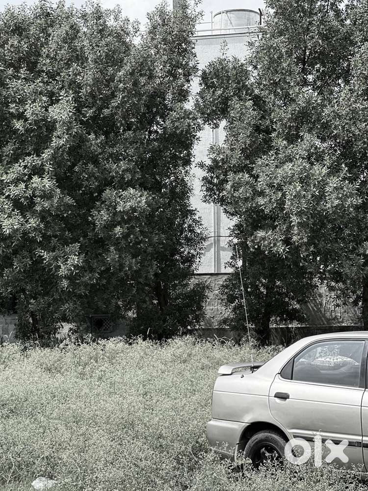 Old Baleno 2005