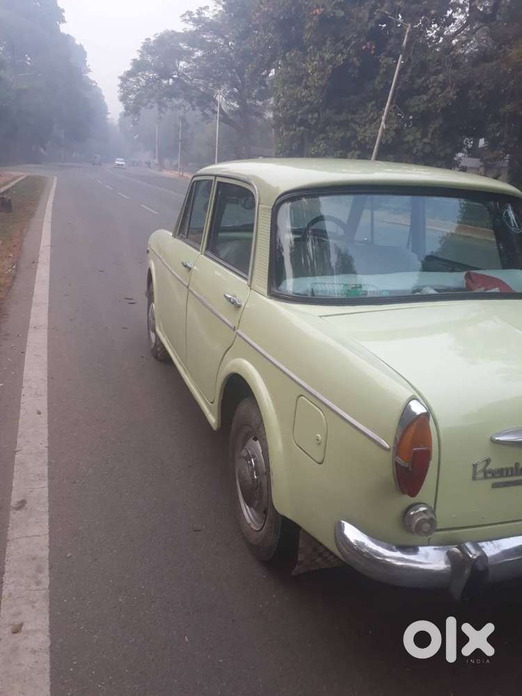 Fiey Premier Padamini