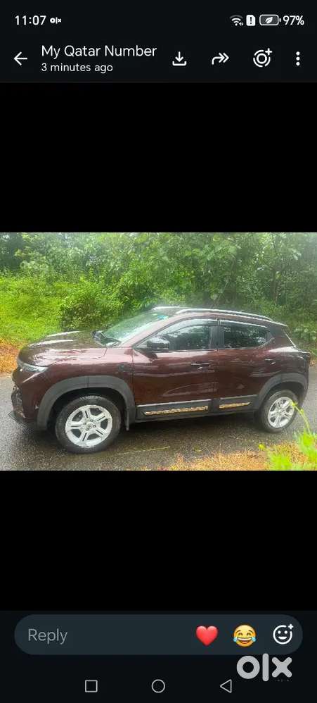 Renault Kiger 1.0 Rxl Petrol 2024