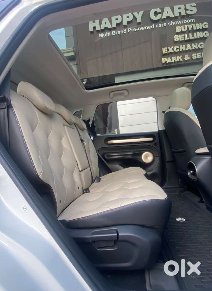Mg Windsor Ev Essence Pro, 2025, Electric