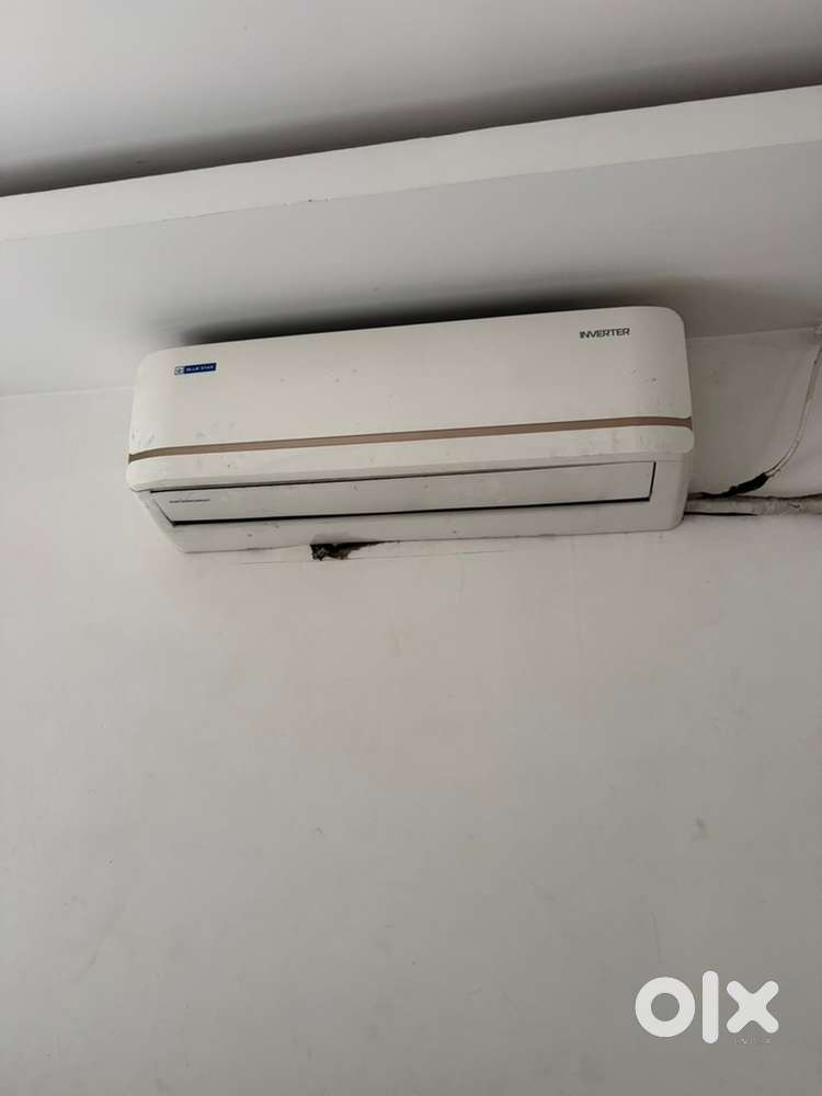 Blue star ac 2 ton
