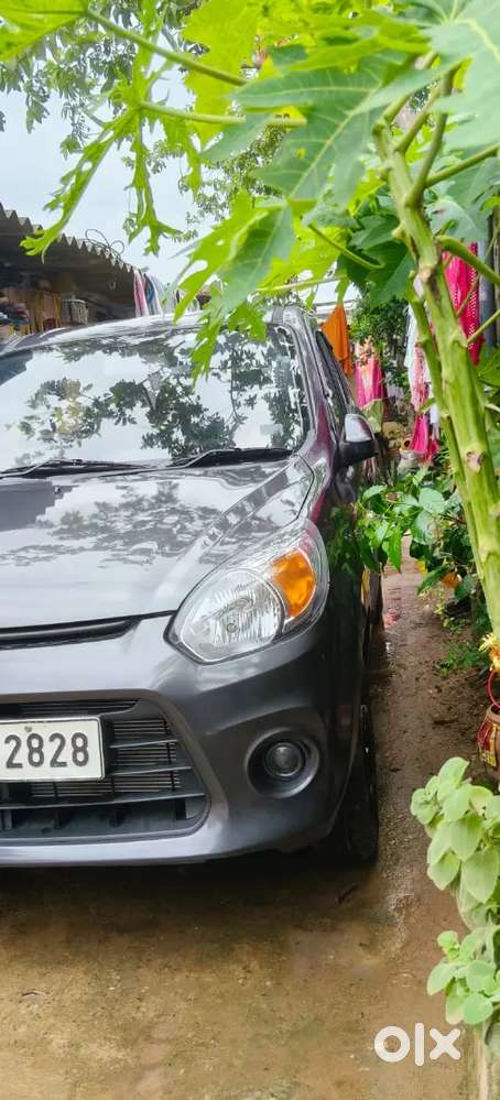 Maruti Suzuki Alto 2016 Lxi