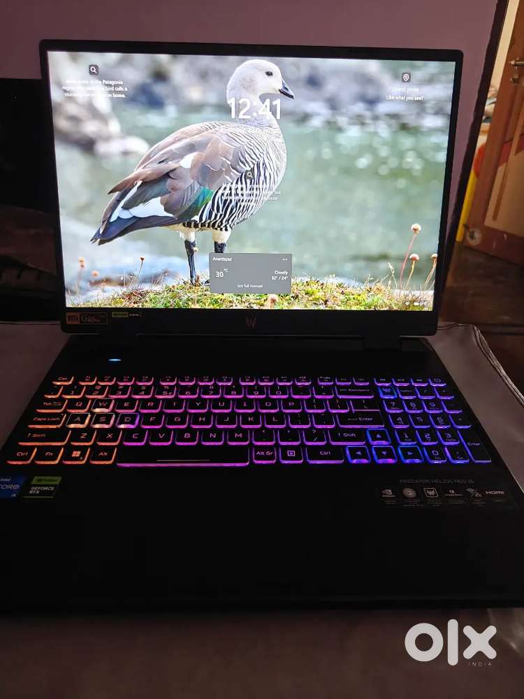 Acer Predator Neo 16 | i5 13th Gen | RTX 4050 140W | 16GB/512GB