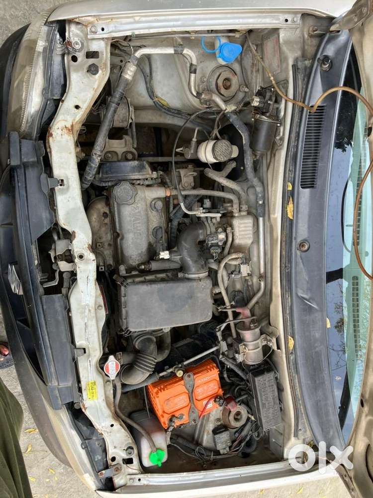 Maruti Suzuki Car 2009