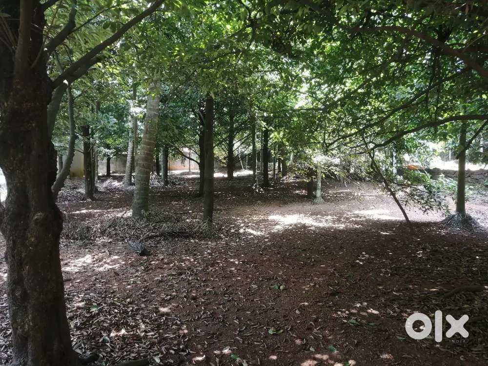 Good house plots at chalakudy chowkka Lands & Plots 1765436897