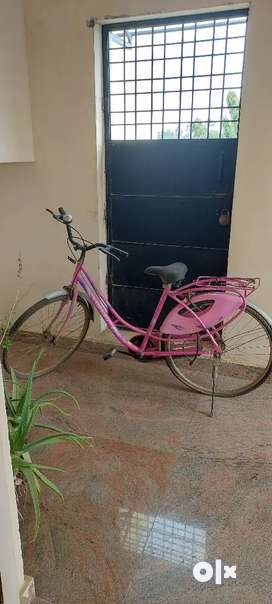 Lady bird deals cycle olx