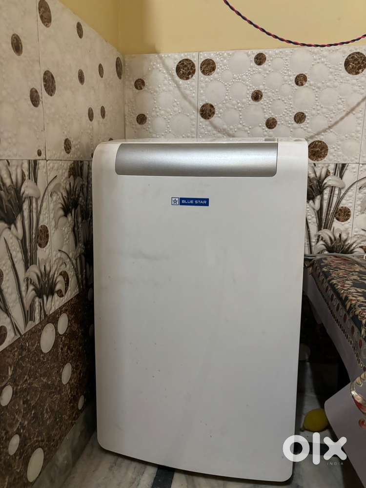 Blue star 1 Ton Portable AC