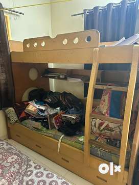 Olx bunk best sale beds for sale