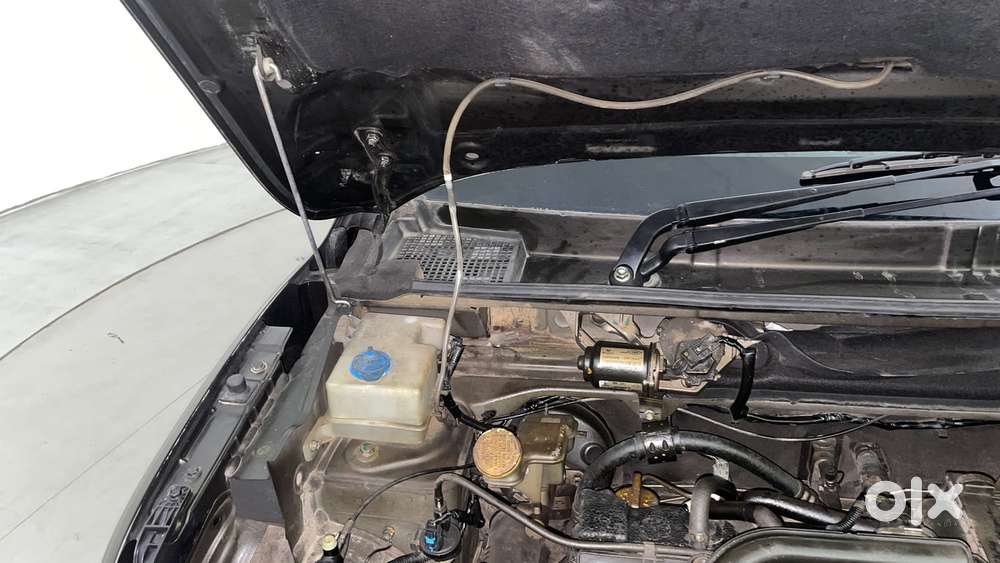 Renault Kwid 2019-ongoing 1.0 Rxt Amt (o), 2019, Petrol