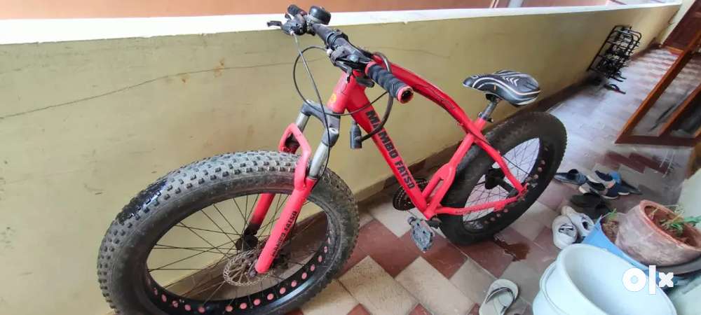 Olx fat online bike