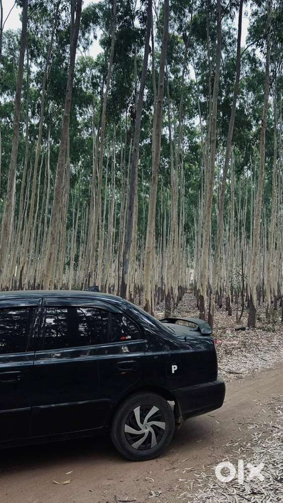 Hyundai Accent 2004 Petrol Well Maintained