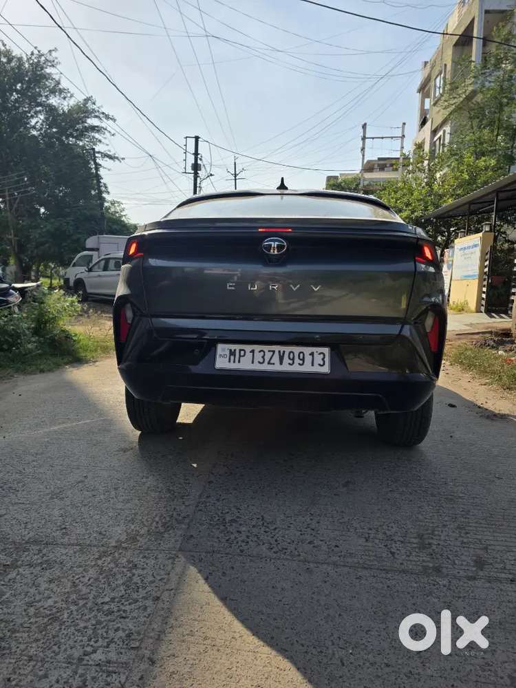 Tata Curvv Petrol 2024