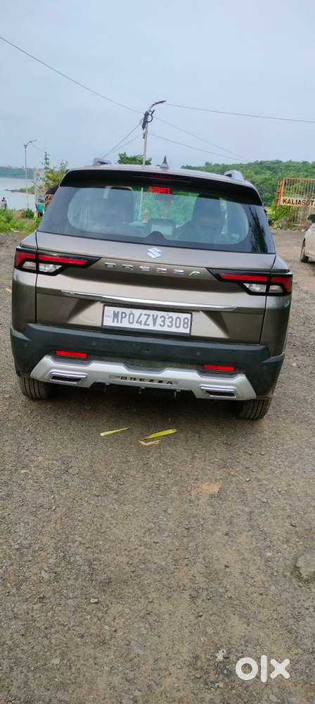 Maruti Brezza Lxi S-cng 2024