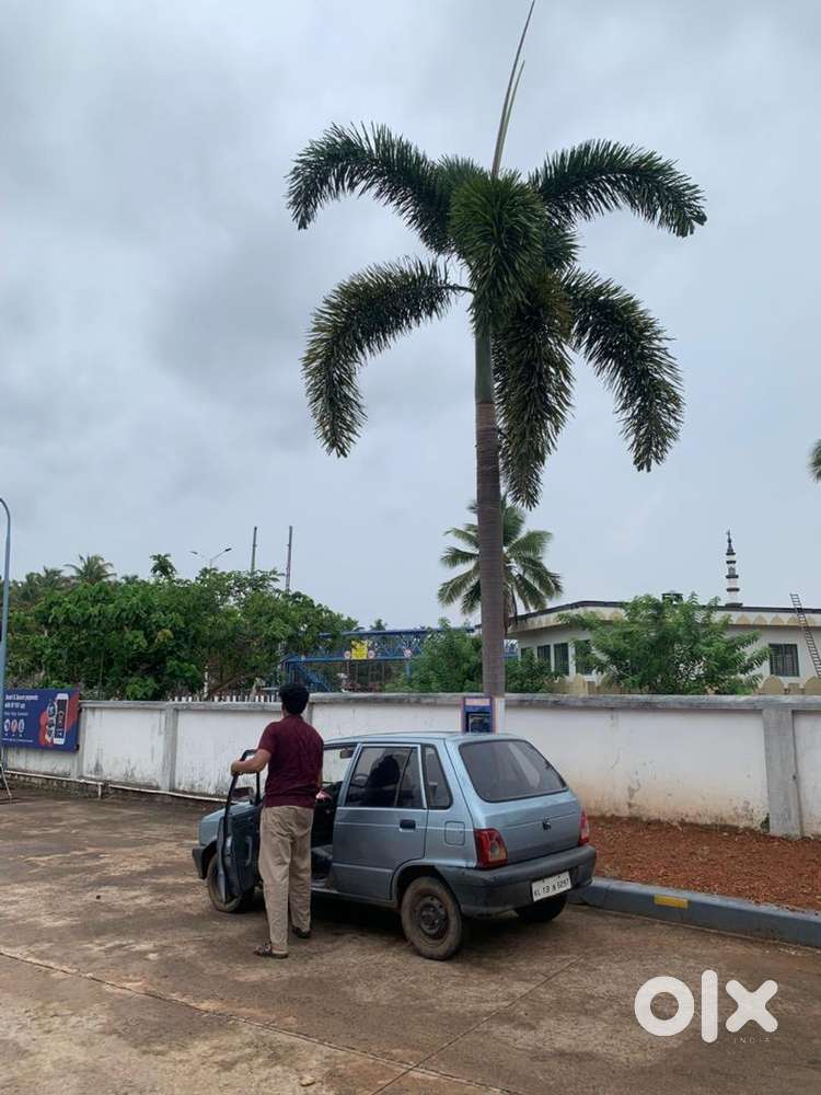 Maruti Suzuki Car 2005
