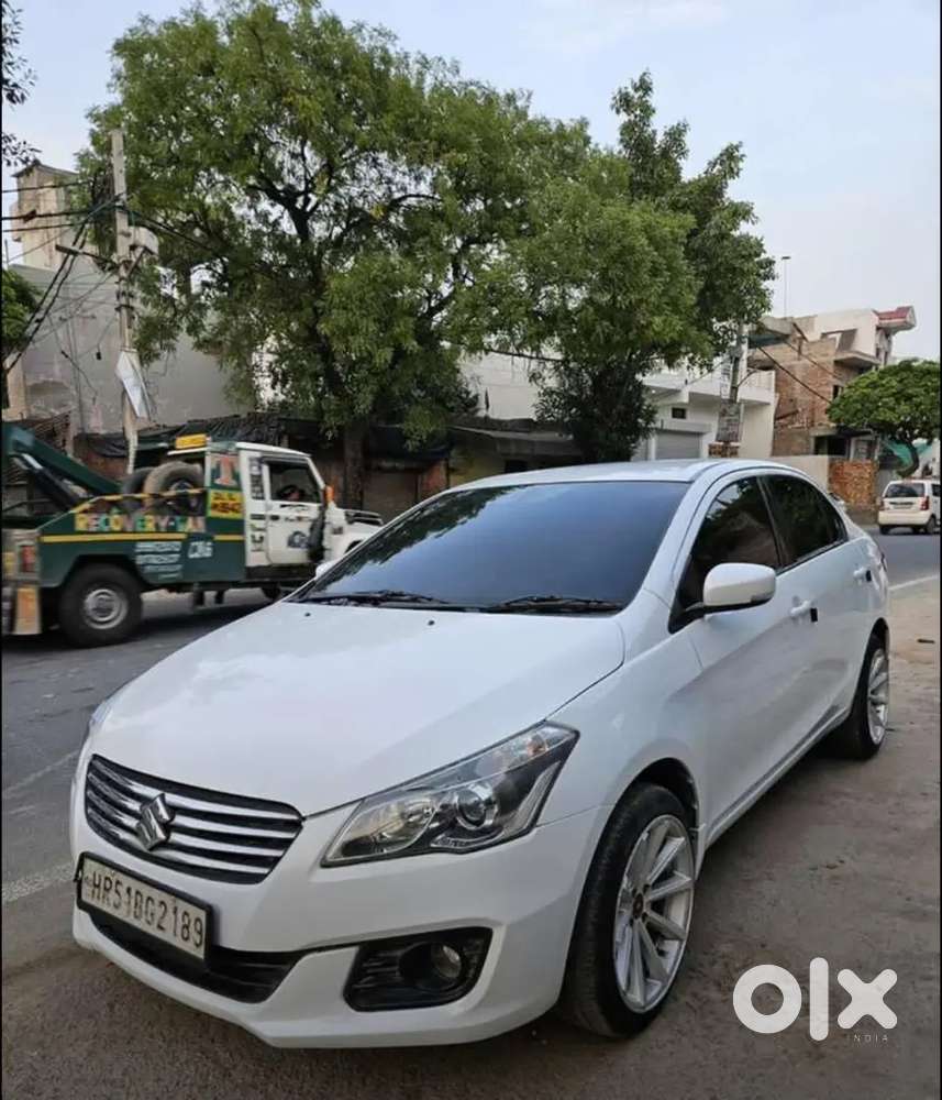 Maruti Suzuki / Ciaz 8745(contect)809719