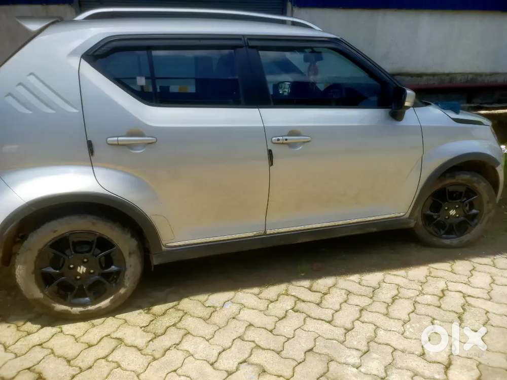 Maruti Suzuki Ignis 2024 Km Driven