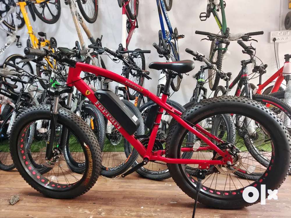 Ferrari discount fat cycle