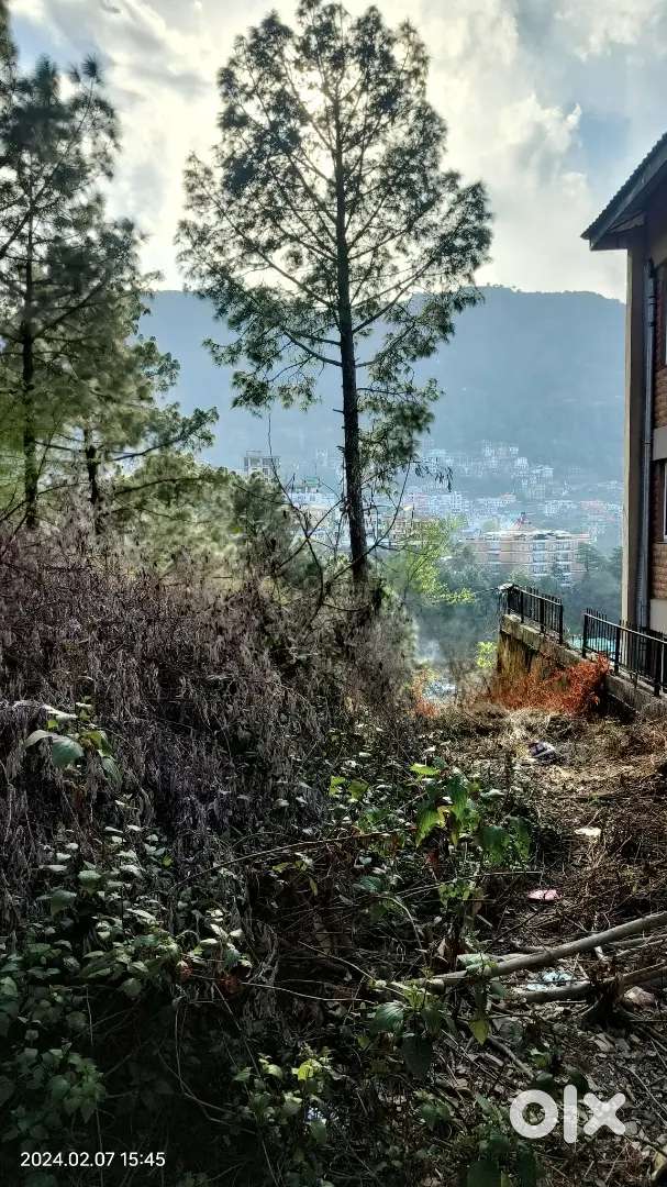4-biswa-168-sq-meters-for-sale-in-solan-lands-plots-1760918608