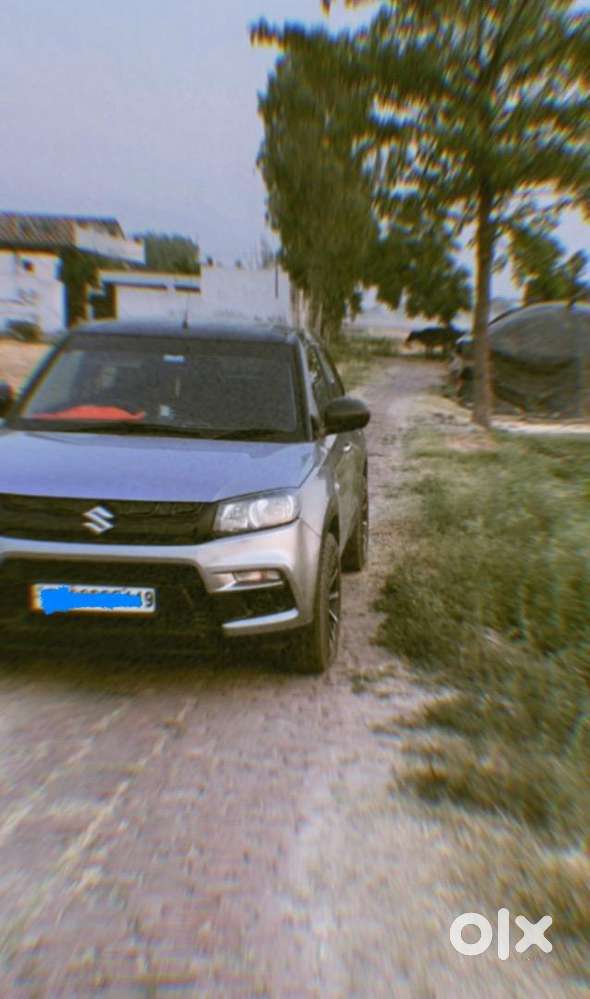 Maruti Suzuki Diesel 2017
