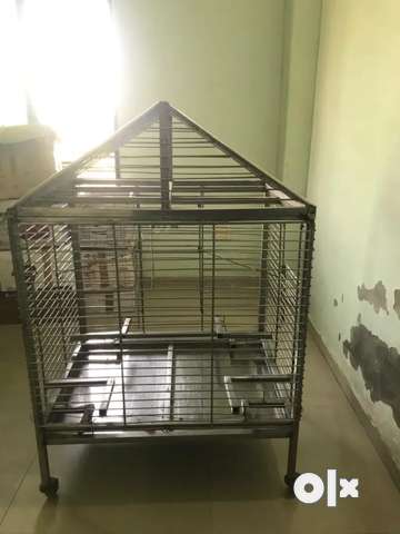 Stainless dog hotsell cage olx