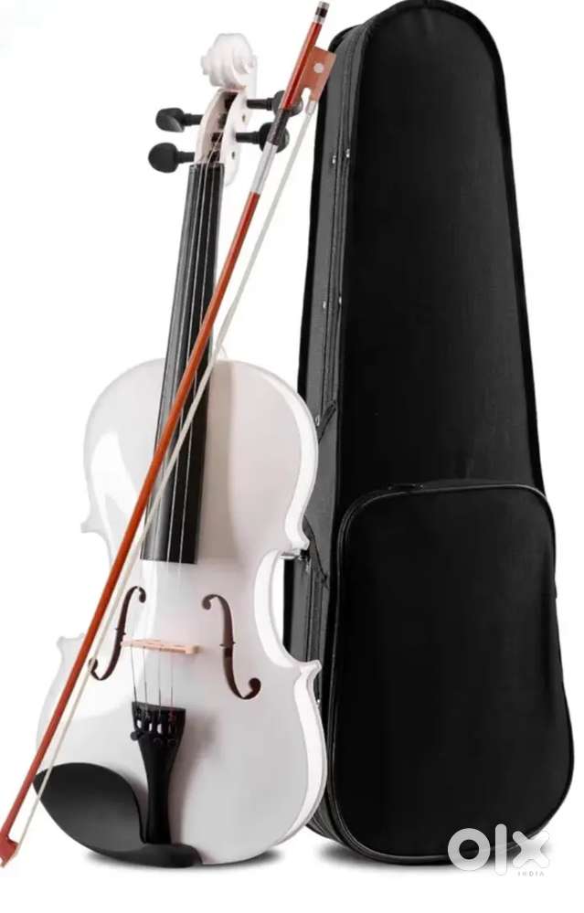 Violin musical instrument