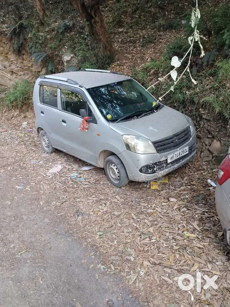 Maruti Suzuki Wagon R Flex Fuel 2010