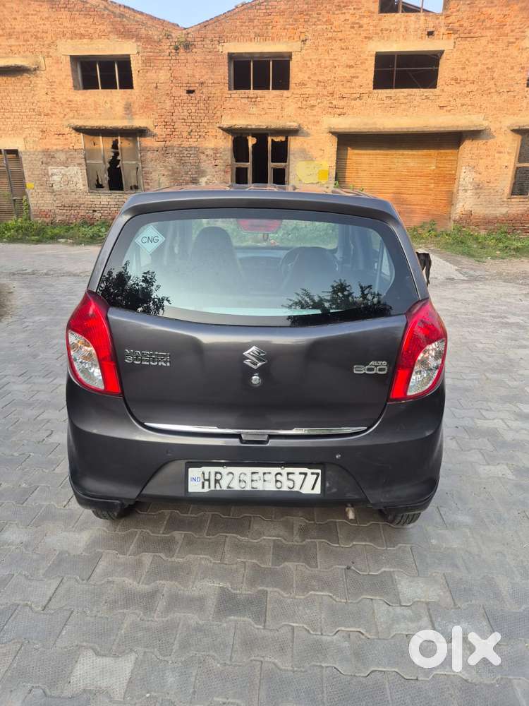 Maruti Suzuki Alto 800 Cng Lxi Optional, 2019, Cng & Hybrids