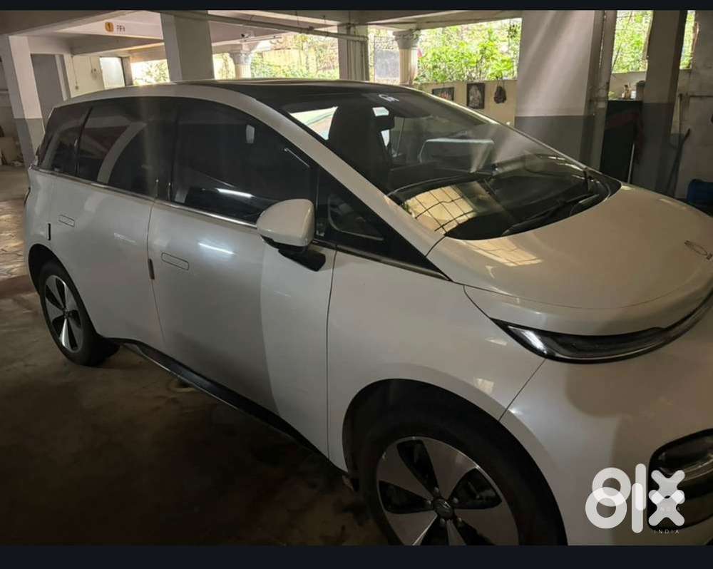 Mg Windsor Ev Electric Well Maintained