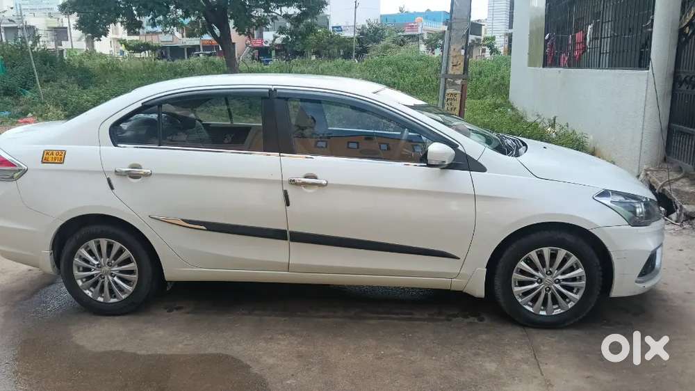 Maruti Suzuki Ciaz Delta 2025