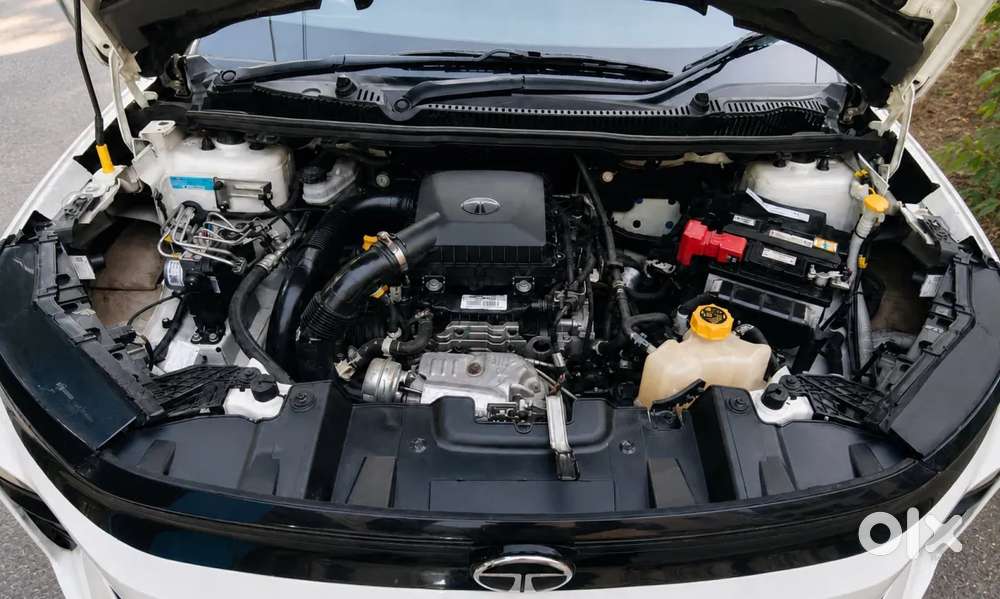 Tata Nexon Smart Plus S 1.2 Revotron Petrol 5 Mt, 2024, Petrol