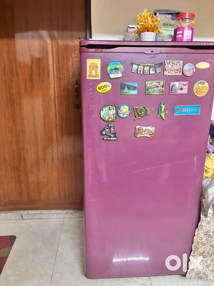 Fridge item