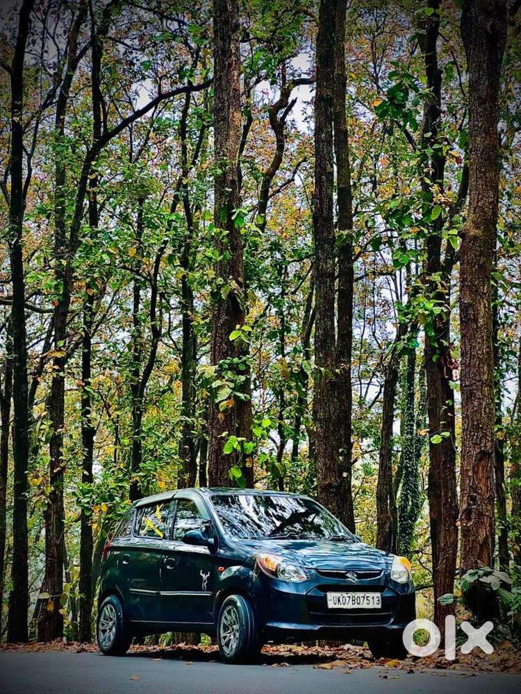 Maruti Suzuki Alto 800 2016 Petrol Well Maintained