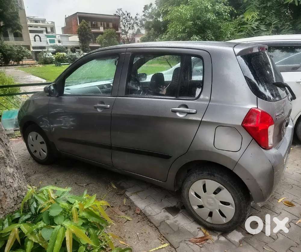 Women Bank Officer Maruti Suzuki Celerio Zxi(o) 2017