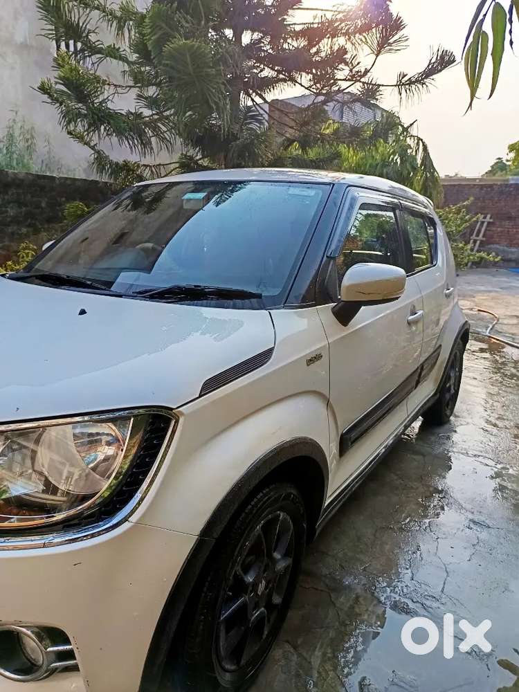 Maruti Suzuki Ignis 2017 Diesel Well Maintained