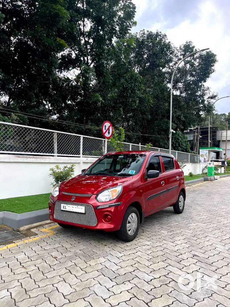 Alto 800 2019