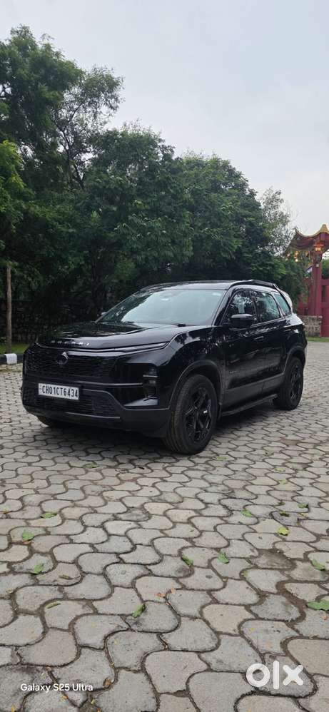 Tata Safari Accomplished X Plus 7 Str Dark Edition, 2024, Diesel