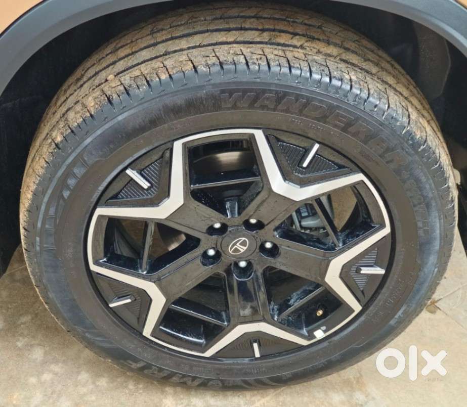 Tata Safari Accomplished Dual Tone At, 2024, Diesel