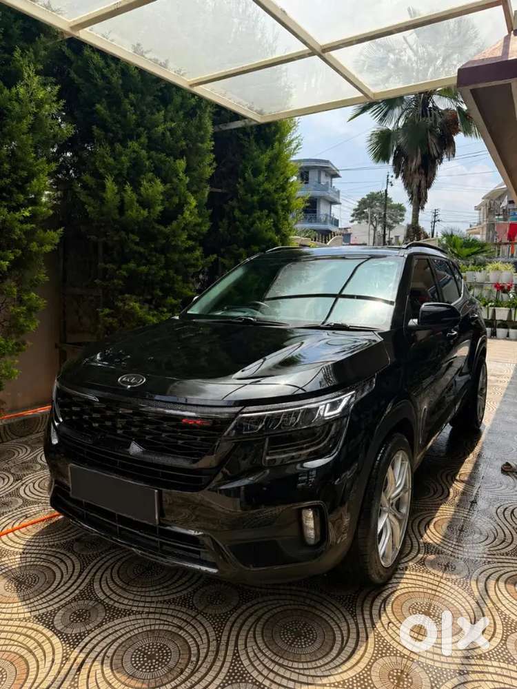 Kia Seltos Petrol Well Maintained