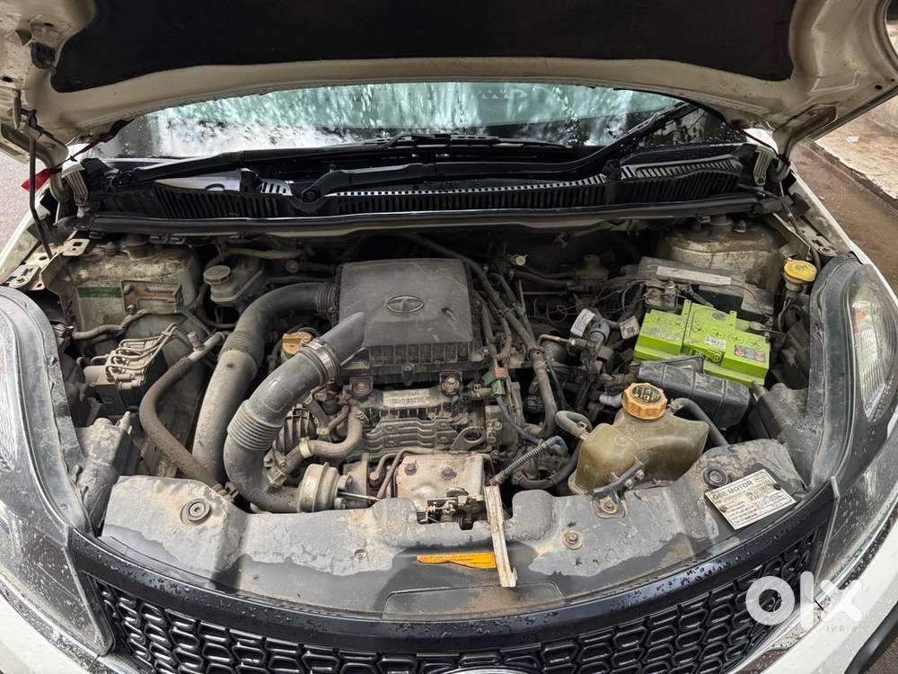 Tata Nexon 2019 With Lovato Cng In Good Condition