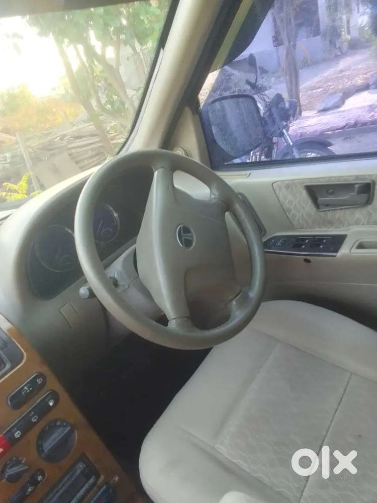 Tata Safari Decor
