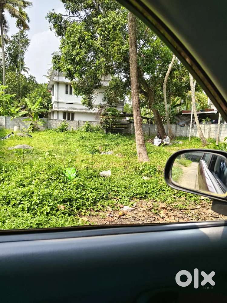 Plot for rent