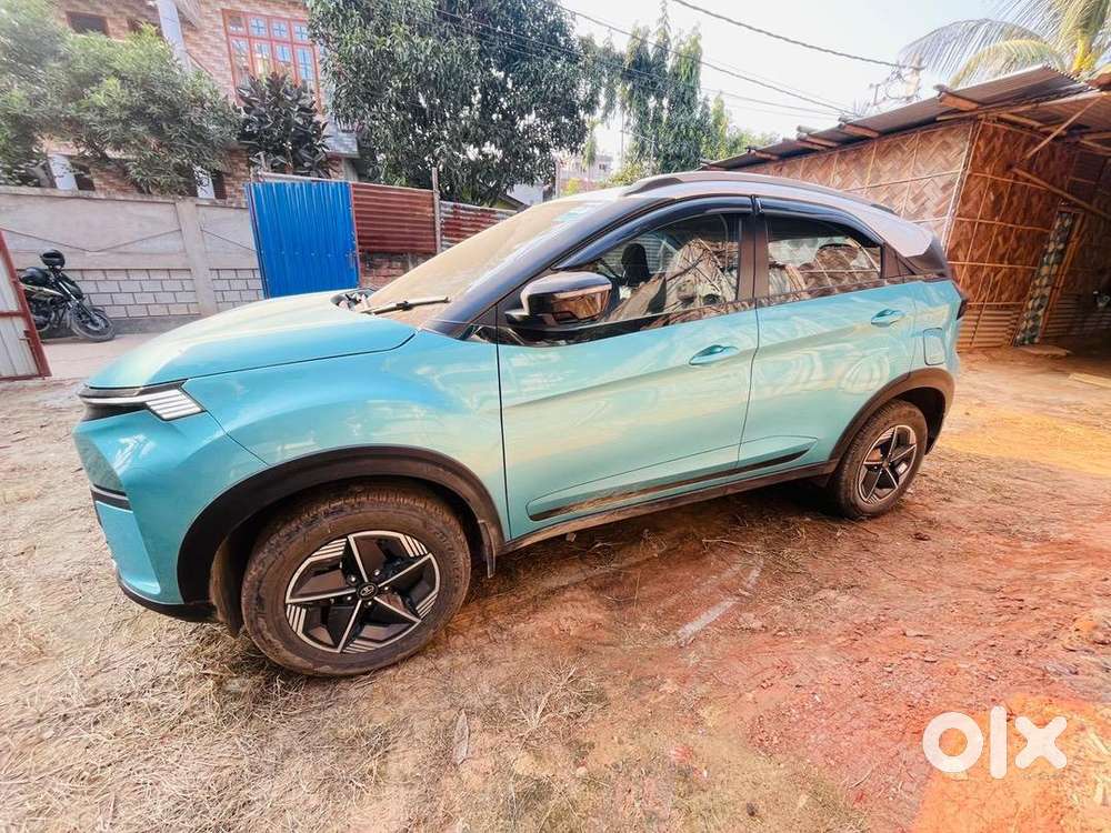 Tata Petrol 2024 Model