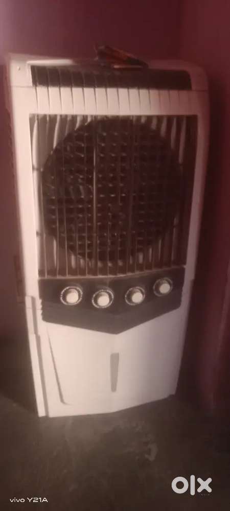 Cooler fan