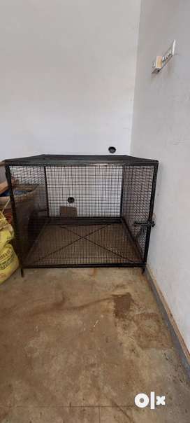 Dog cage on store olx