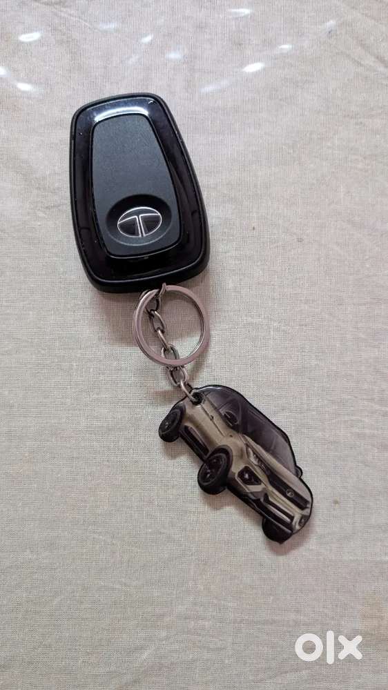 Nexon Xz+, Kaziranga Edition (top Model)