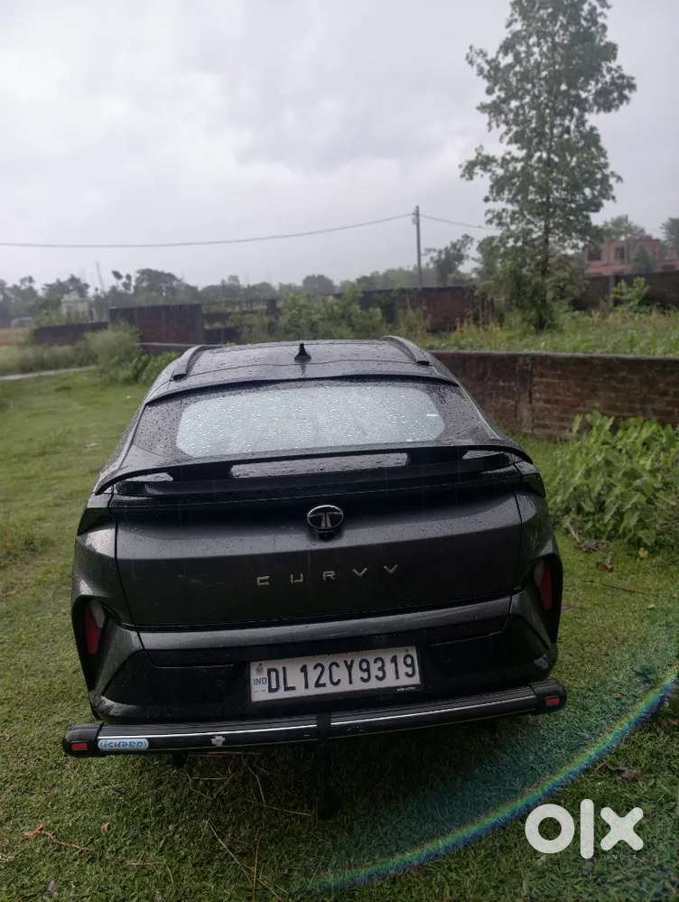 Tata Curvv Petrol Manual 11000 Km 2025