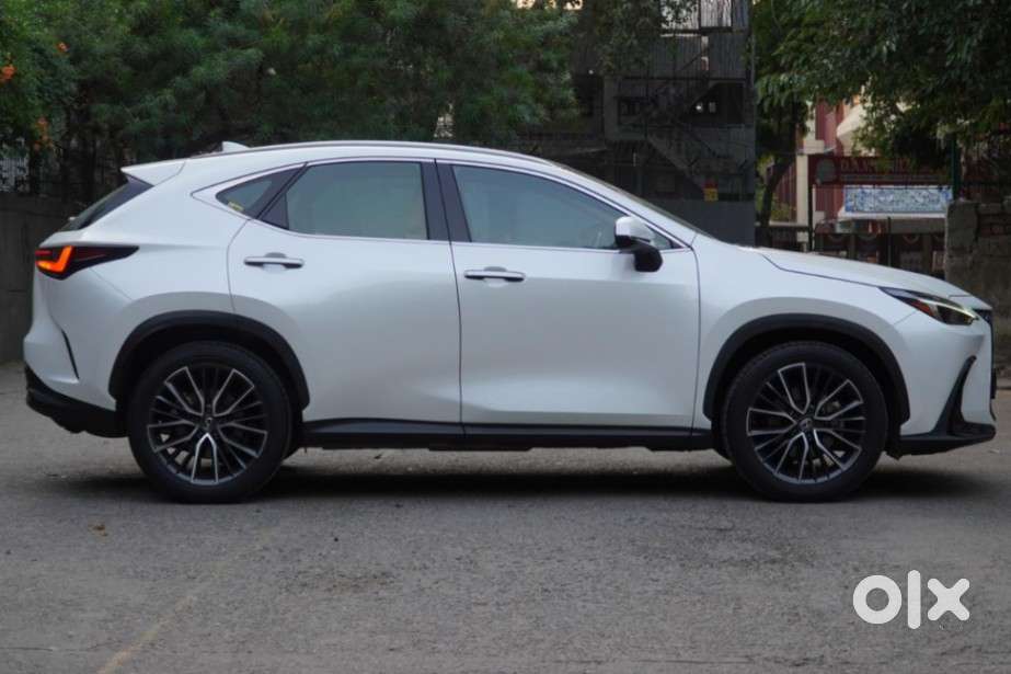Lexus Nx 350h Exquisite, 2024, Petrol