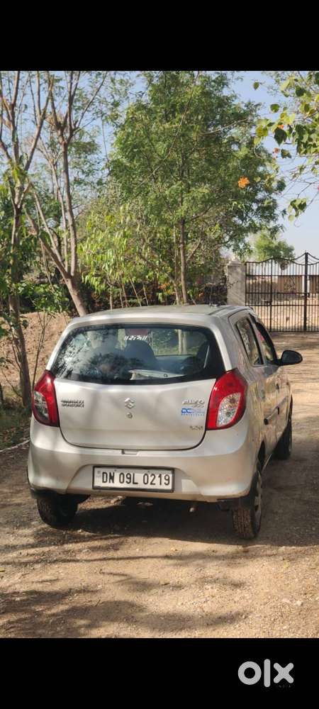 Alto 800 Company Cng