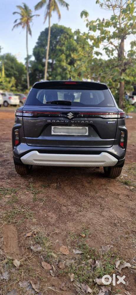 Maruti Suzuki Grand Vitara 1.5 Zeta Smart Hybrid, 2024, Petrol