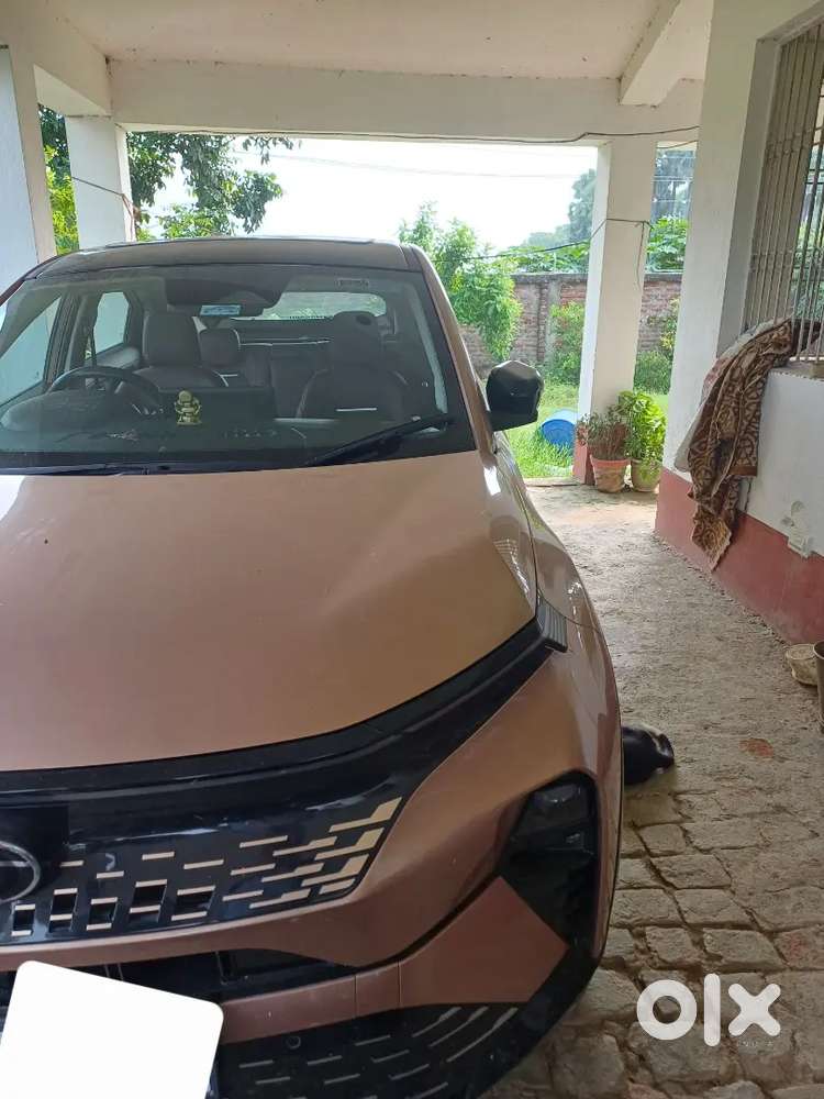 Tata Curvv Diesel Manual 2025